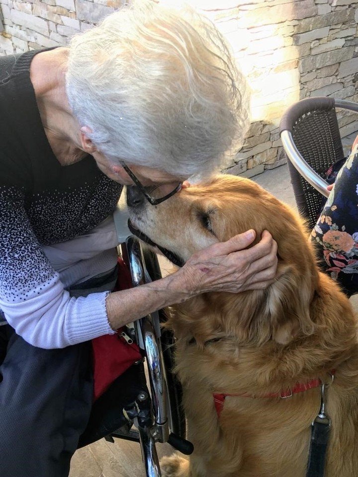 Caba : Buscan que los adultos mayores puedan vivir con sus mascotas en geriátricos