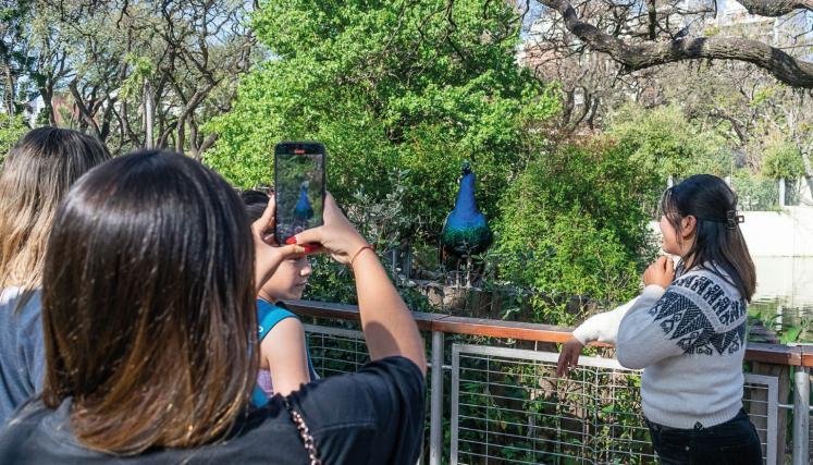 Ecoparque, el refugio de los animales .